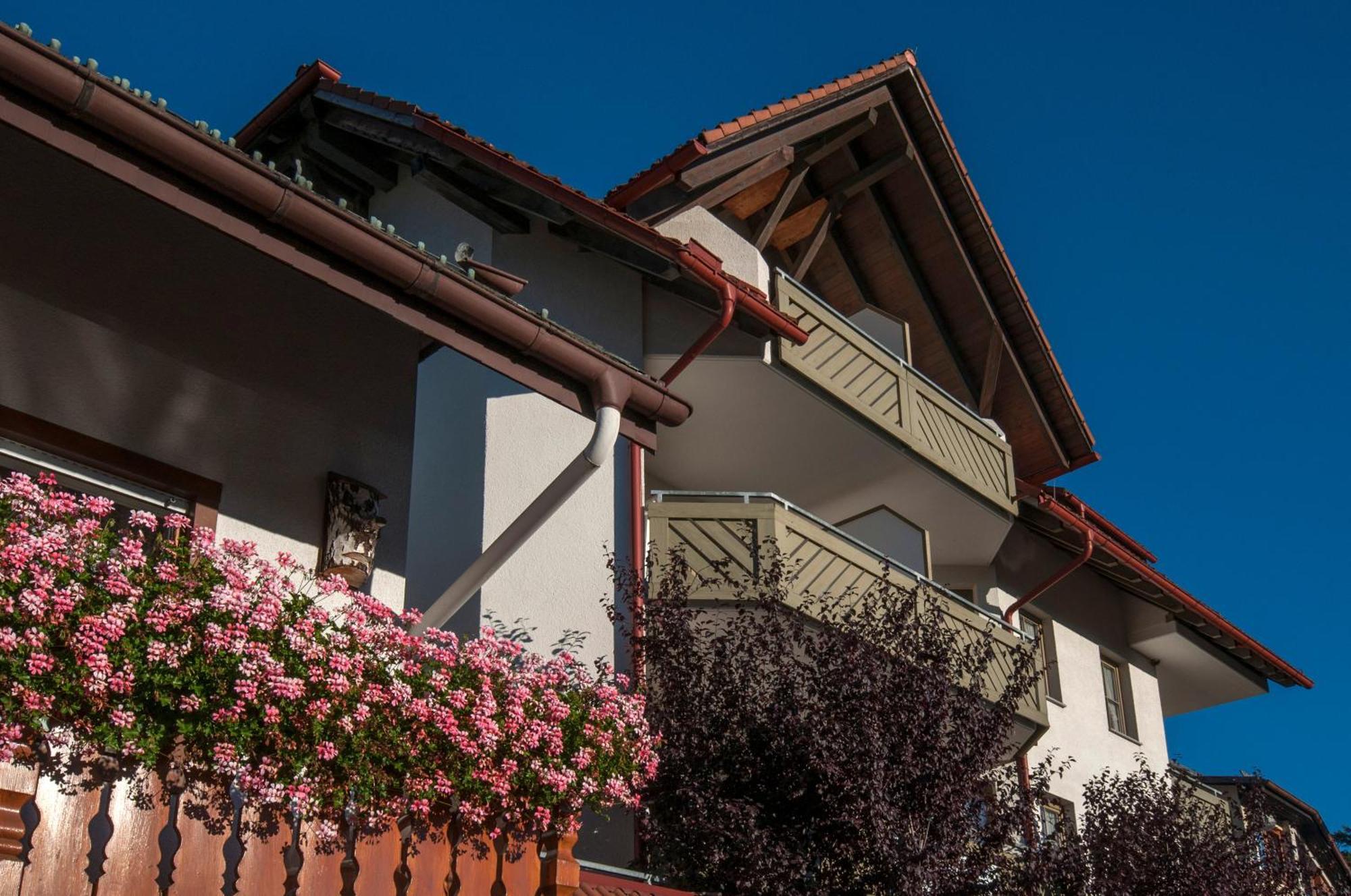 Apartment 03 - Ferienresidenz Roseneck, Mit Schwimmbad In Todtnauberg Bei Feldberg Eksteriør billede