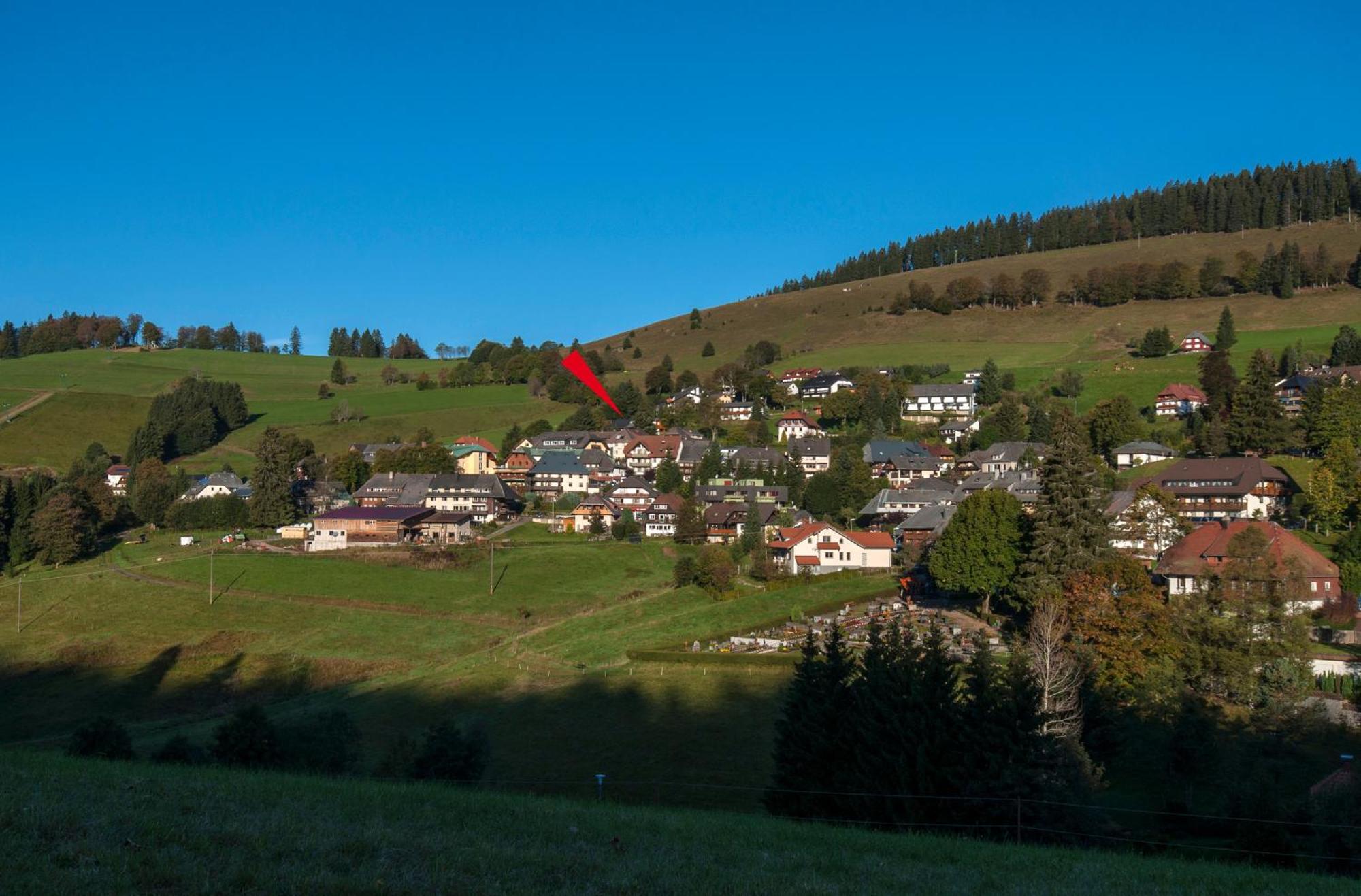 Apartment 03 - Ferienresidenz Roseneck, Mit Schwimmbad In Todtnauberg Bei Feldberg Eksteriør billede